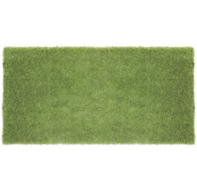 Groen vloerkleed met franjes