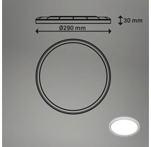 Technische tekening van een ronde plafondlamp met een diameter van 290 mm en een hoogte van 30 mm