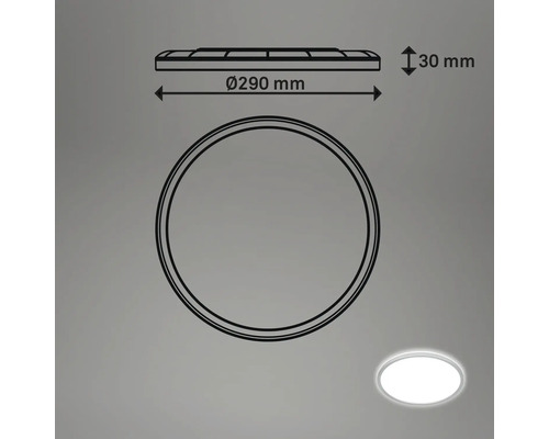 Technische tekening van een ronde plafondlamp met een diameter van 290 mm en een hoogte van 30 mm