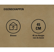 Eigenschappen: Geschikt voor gebruik binnenshuis, boomhoogte 45 cm