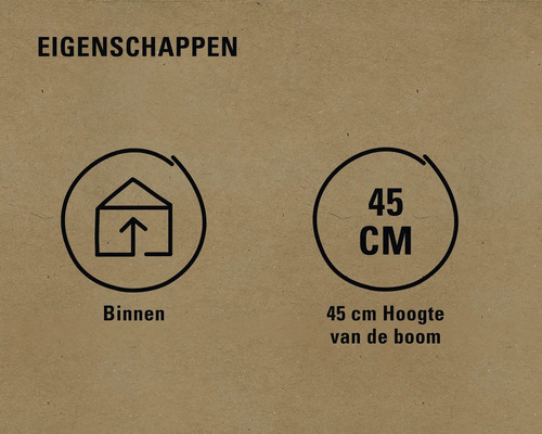 Eigenschappen: Geschikt voor gebruik binnenshuis, boomhoogte 45 cm