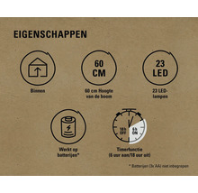 Eigenschappen: Geschikt voor binnen, 60 centimeter hoog, 23 LEDs, werkt op batterijen, timerfunctie zes uur aan en 18 uur uit
