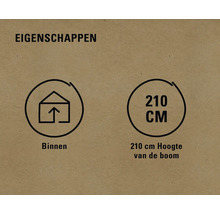 Eigenschappen: Geschikt voor binnen, boomhoogte 210 centimeter