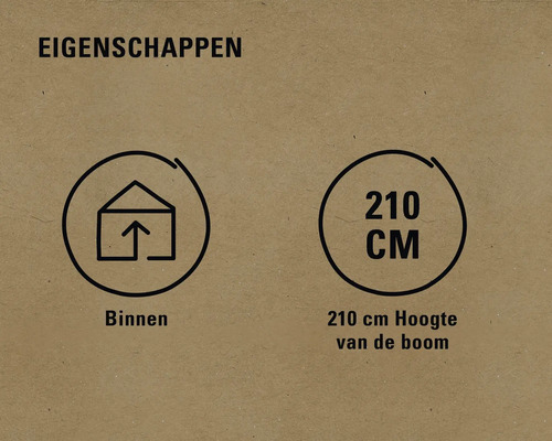 Eigenschappen: Geschikt voor binnen, boomhoogte 210 centimeter