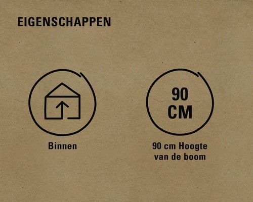 Eigenschappen: Geschikt voor binnen, boomhoogte 90 centimeter.