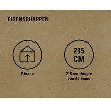 Eigenschappen: Geschikt voor binnen, boomhoogte 215 centimeter