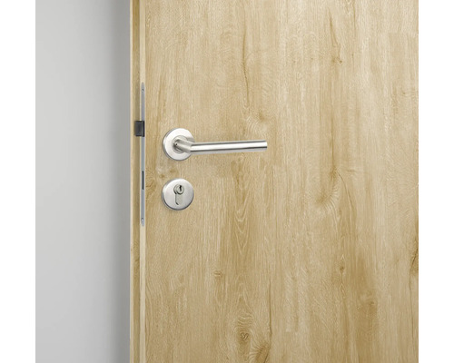 Houten deur met metalen beslag en handgreep