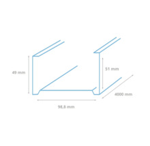 Afbeelding van een U-profiel met de afmetingen 49 millimeter, 51 millimeter, 98,8 millimeter en 4000 millimeter.