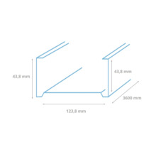Technische tekening van een metalen profiel met maatvoering 43,8 mm, 123,8 mm en 3600 mm.