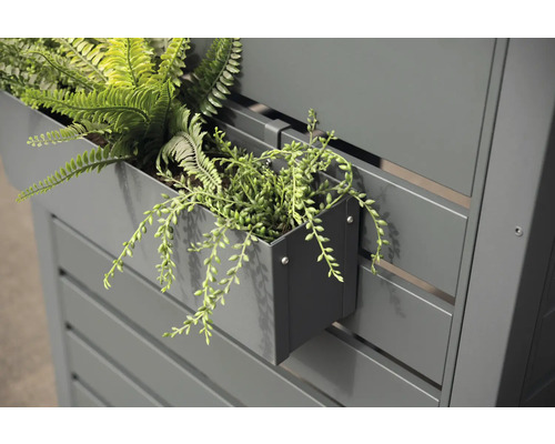 Detailopname van een grijs privacyhek met beplante bloembakken.