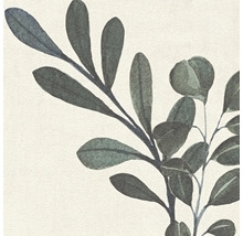 Close-up van takken met bladeren