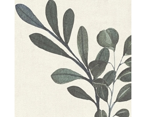 Close-up van takken met bladeren