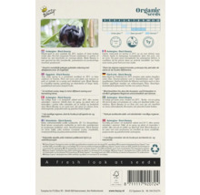 Zaadverpakking aubergine Black Beauty
