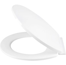 Toiletdeksel van kunststof