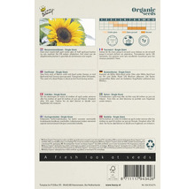 Zadenpakket voor Giant zonnebloemen met informatie over zaaien, oogsten en gebruik