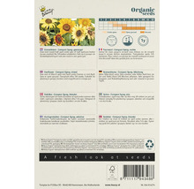 Buzzy Zonnebloemen Compact Spray zaadverpakking