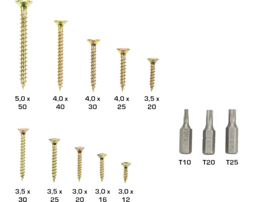 Diverse maten houtschroeven en torx bits