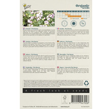 Buzzy Organic Koekruid Pink Beauty zadenverpakking