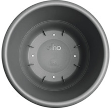 Kunststof plantenpot van bovenaf