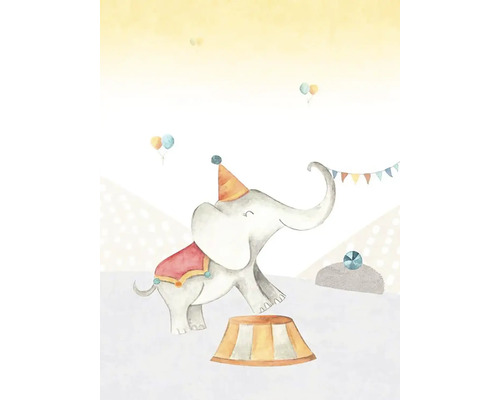 Illustratie van een circuselefant met hoed en voetstuk