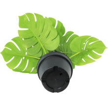 Kunstmatige Monstera Deliciosa plant in zwarte pot