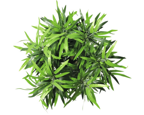 Bovenaanzicht van een kunstplant met groene bladeren.