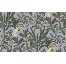 Behang met kaketoes, kolibries, bladeren en bloemen
