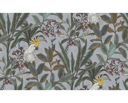 Behang met kaketoes, kolibries, bladeren en bloemen