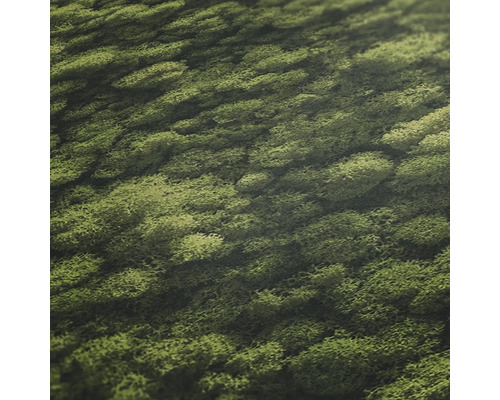 Close-up van IJslands mos