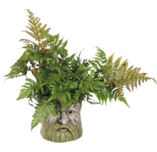 Kunstvaren in een gezicht-plantenpot