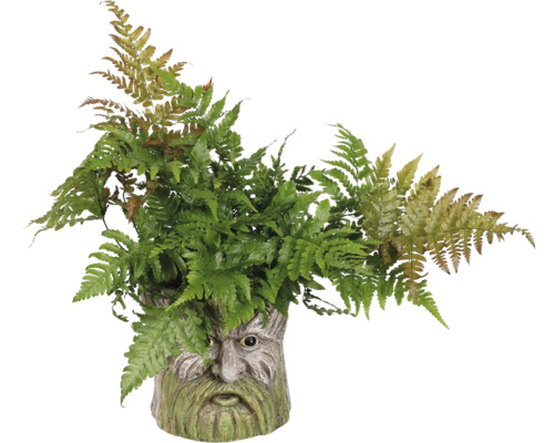 Kunstvaren in een gezicht-plantenpot