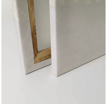 Twee schildersdoeken met canvas bekleding en houten frame