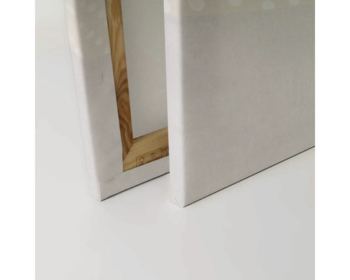 Twee schildersdoeken met canvas bekleding en houten frame