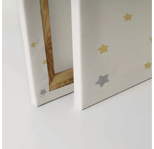 Close-up van twee schilderijen op canvas met sterpatroon en houten frame.