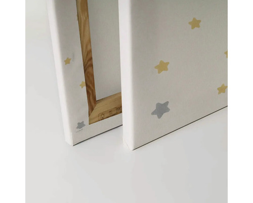 Close-up van twee schilderijen op canvas met sterpatroon en houten frame.