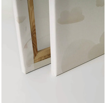Detailopname van twee schilderijen op canvas met wolkenmotief en houten frame