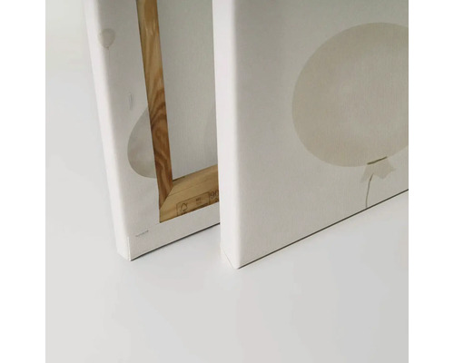 Detailaanzicht van twee canvas schilderijen met ballonmotieven en houten frame