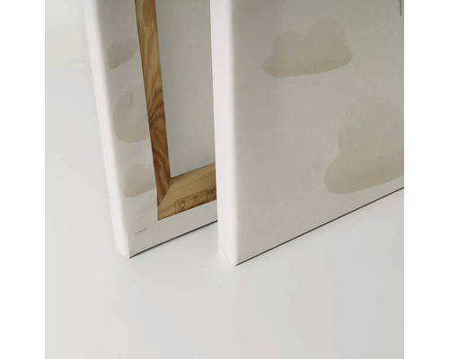 Detailweergave van twee schilderijen op doek met houten frame en wolkenmotief