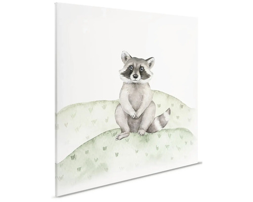Illustratie van een wasbeer op canvas