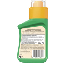 Pokon Tegen Schimmels Concentraat, 250 ml