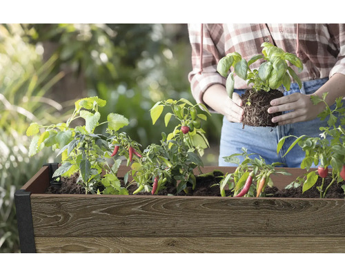 Hoge plantenbak met kruiden en groenteplanten, inclusief basilicum en chili, met een persoon die aan het planten is.