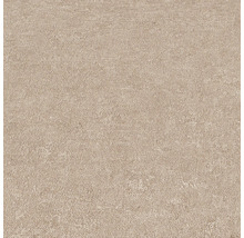 Close-up van een beige tapijt met gemêleerde textuur