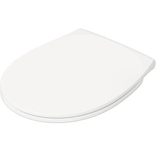 Toiletdeksel van kunststof