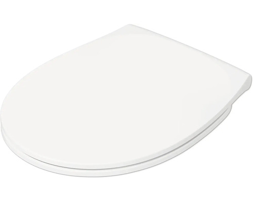 Toiletdeksel van kunststof