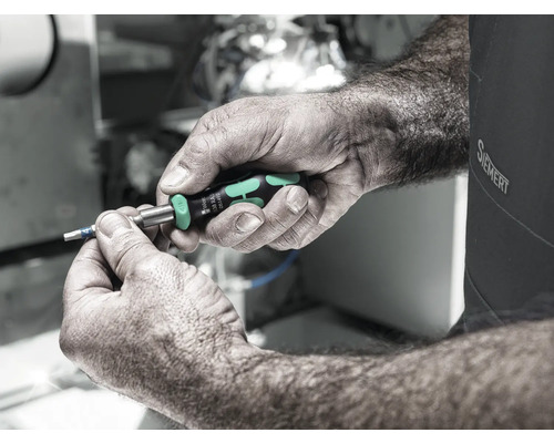 Een persoon houdt een Wera schroevendraaier in de hand.