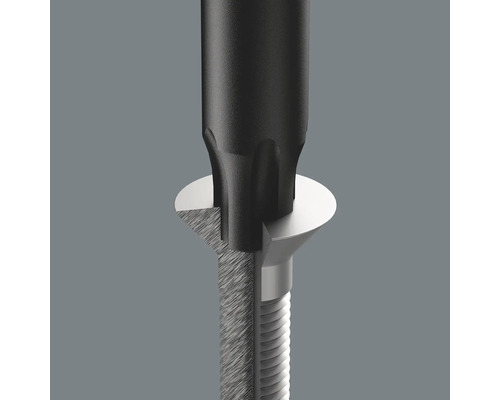 Schroevendraaier grijpt in schroef met Torx-profiel