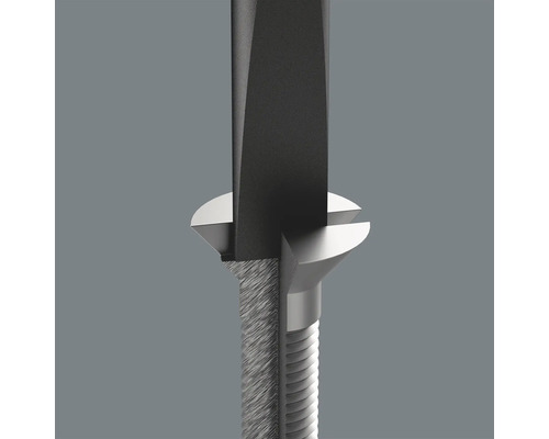 Gedetailleerde afbeelding van een schroevendraaier met sleufkop