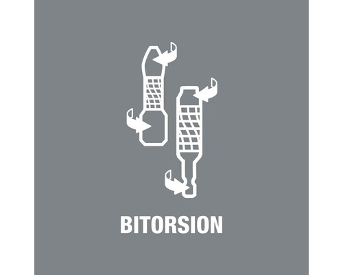 Bitorsion symbool