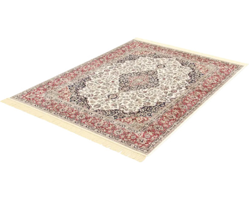 Rechthoekig tapijt met franjes en een gedessineerd ontwerp