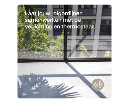 Raam met schaduwen en de tekst: Laat uw rolgordijnen samenwerken met de verlichting en thermostaat.